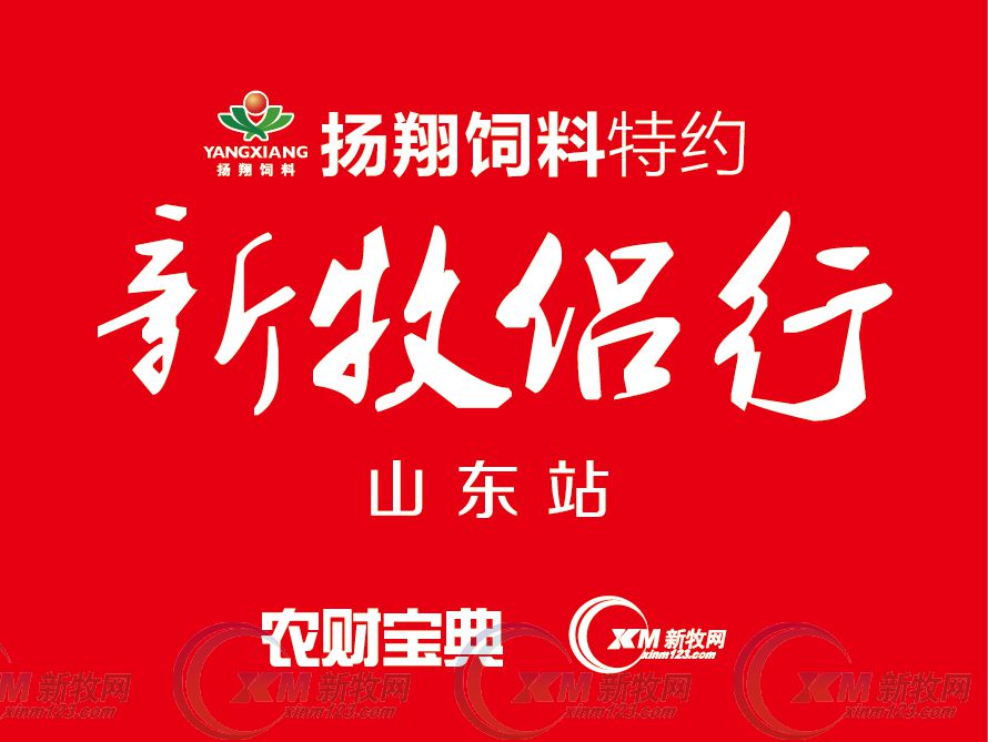 山东养猪企业排名,山东养猪企业30排名