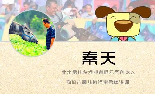 放炮时的狗狗为什么会惊吓,狗狗放鞭炮受惊吓怎么办