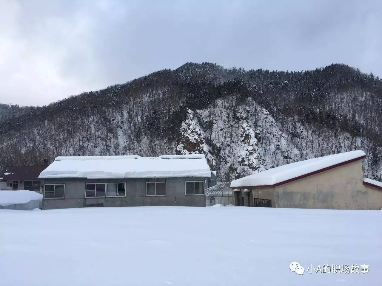 京都大阪北海道9天,大阪北海道东京攻略