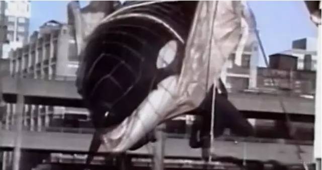 它的死，是给人类一记响亮的耳光