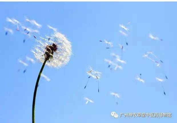 玉屏风治疗体虚怕冷,玉屏风散加减治汗验方