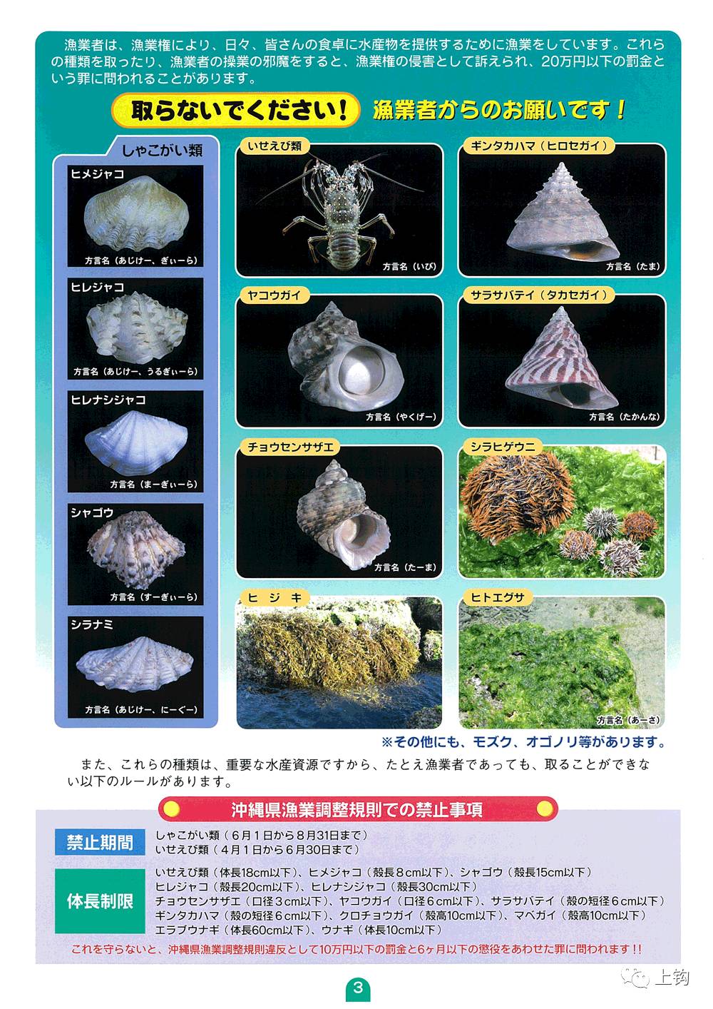 冲绳岛海钓,海钓福利