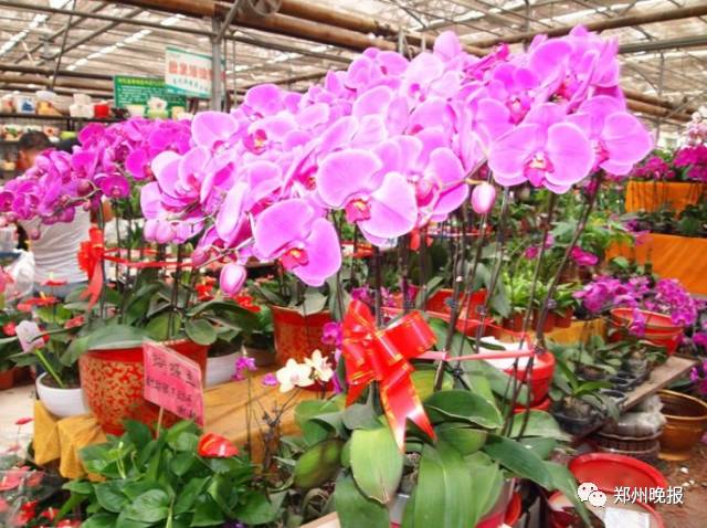 年货批发市场一条街,附近年货批发最大市场