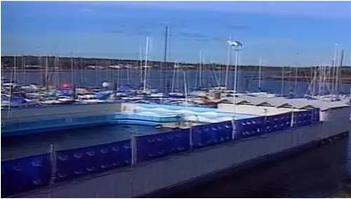 它的死，是给人类一记响亮的耳光