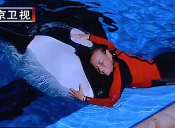 它的死，是给人类一记响亮的耳光