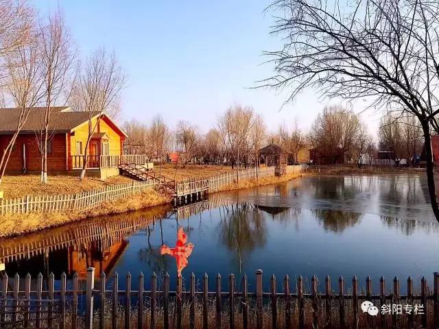 金沙岛怎么样,金沙洲热门话题