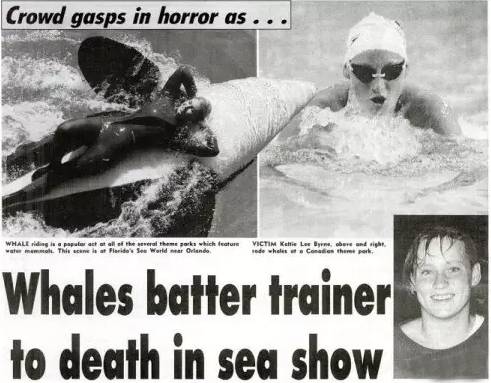 它的死，是给人类一记响亮的耳光