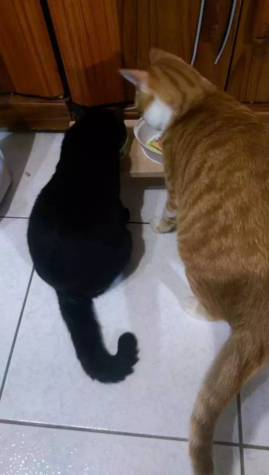 婚恋中男人不能犯的100个错误,婚姻男人不能过分迁就女人