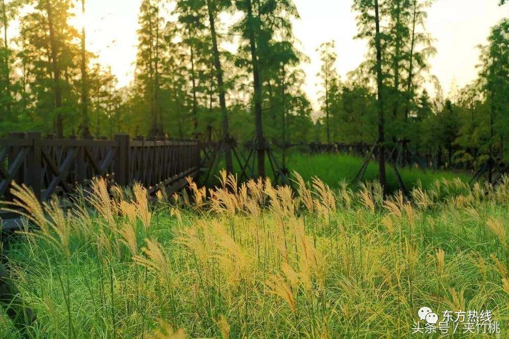 镇海市新城区房价,镇海区新城房价