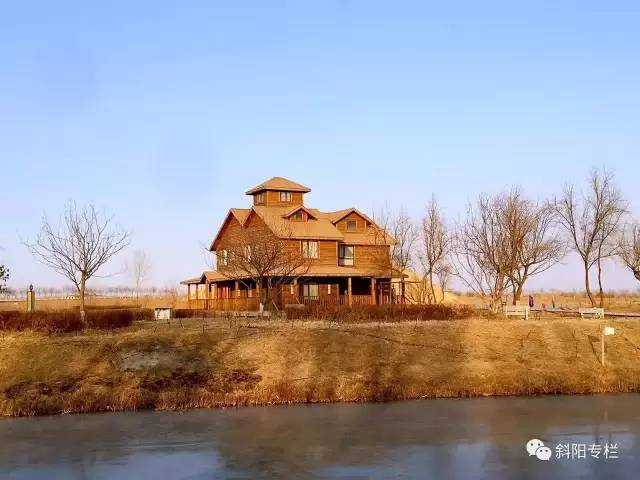 金沙岛怎么样,金沙洲热门话题