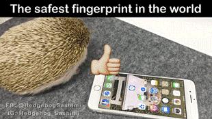 婚恋中男人不能犯的100个错误,婚姻男人不能过分迁就女人