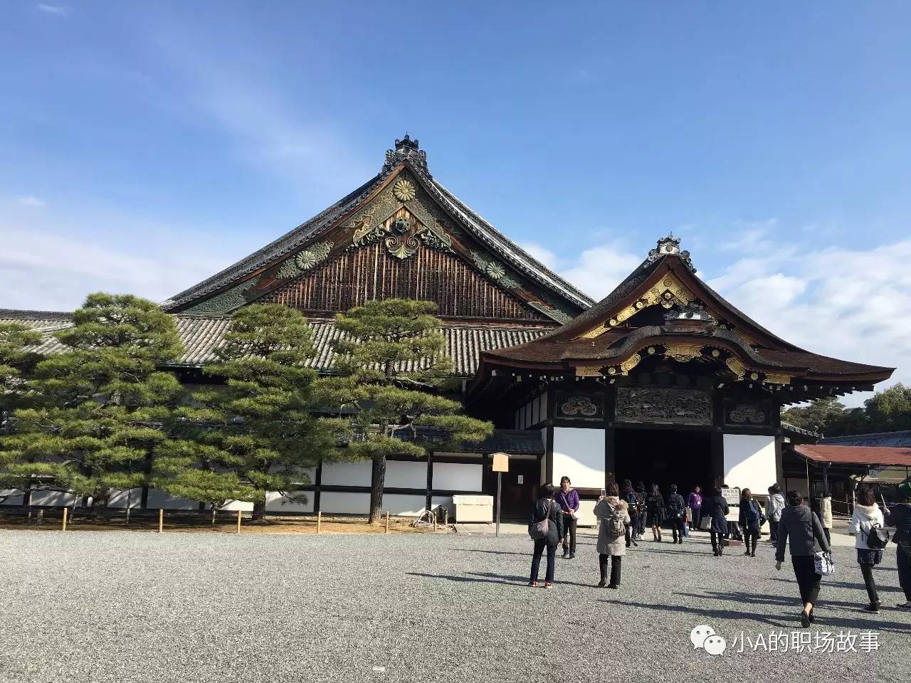 京都大阪北海道9天,大阪北海道东京攻略