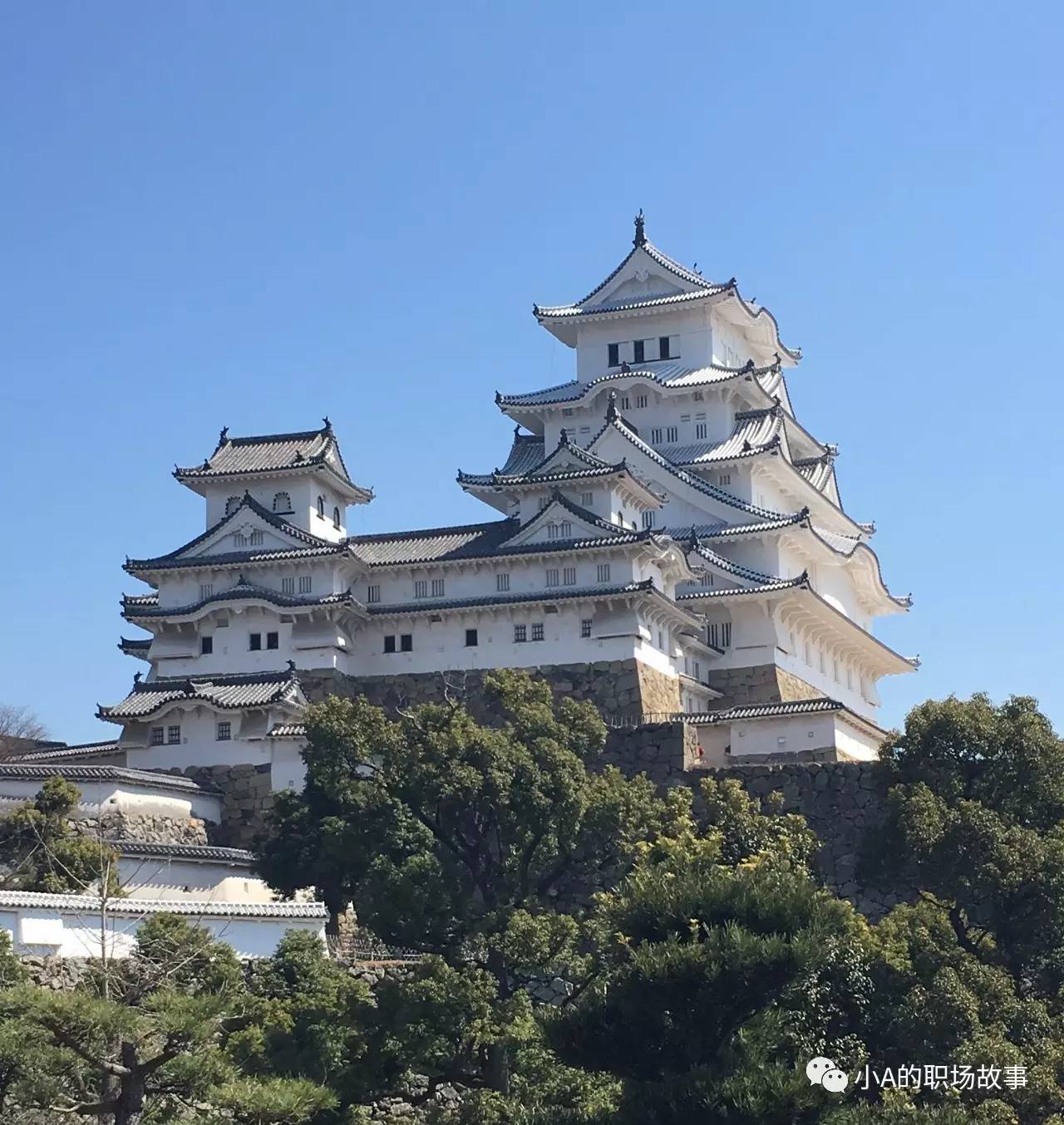 京都大阪北海道9天,大阪北海道东京攻略