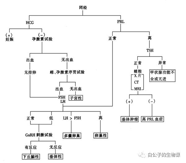 大白课｜人可以有第三种性别吗？不行的话可以创造出来吗？