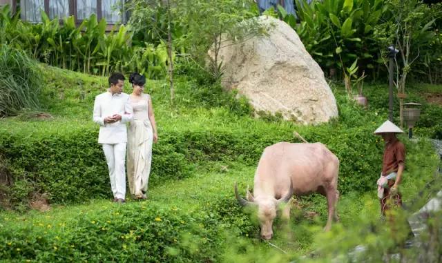 楦熷发搴﹀亣閰掑簵浣撻獙,闅愯棌鍦ㄥ師濮嬫．鏋楃殑娴峰崡楦熷发閰掑簵
