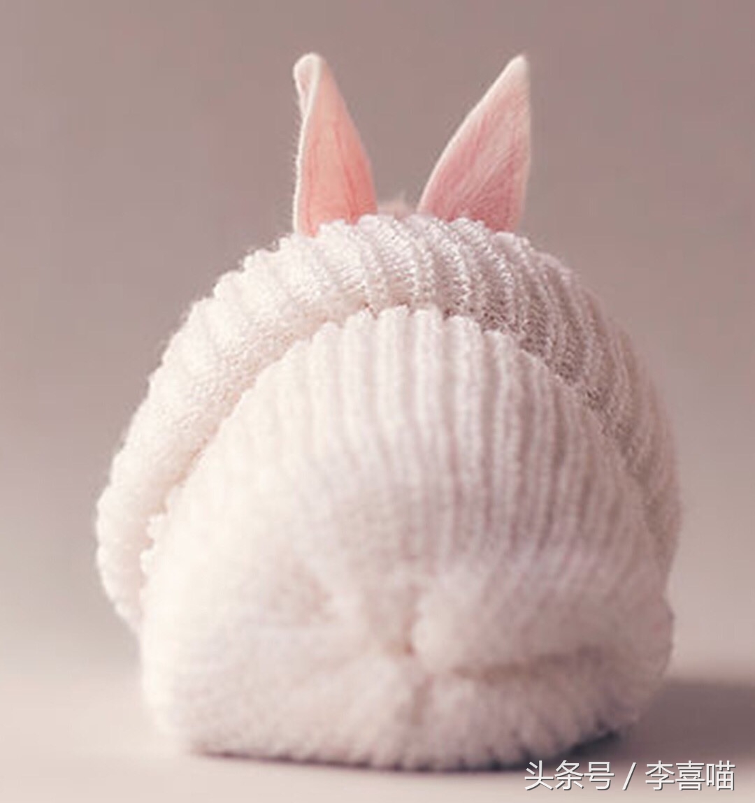 如何养好宠物兔子的方法,什么兔子比较好当宠物也好养