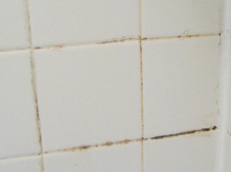 清除毛发技巧,清理灰尘毛发小妙招