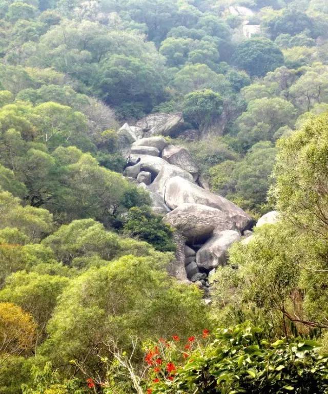 厦门可以爬的山有哪些地方,厦门这些景点你都去过吗