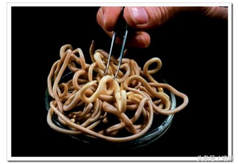 小孩吐红细虫子是怎么回事,孩子口吐虫子