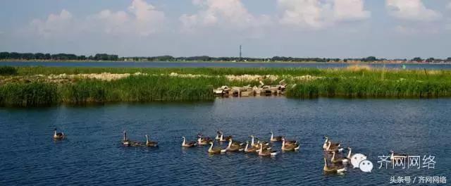 齐齐哈尔一个小城市,齐齐哈尔是一座怎样的城市