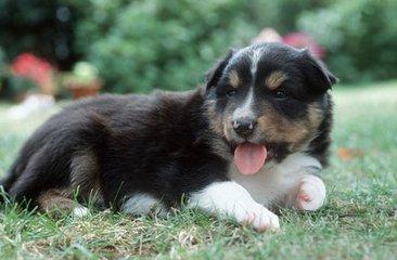 越坐着越困是怎么回事,为什么坐着睡越睡越累