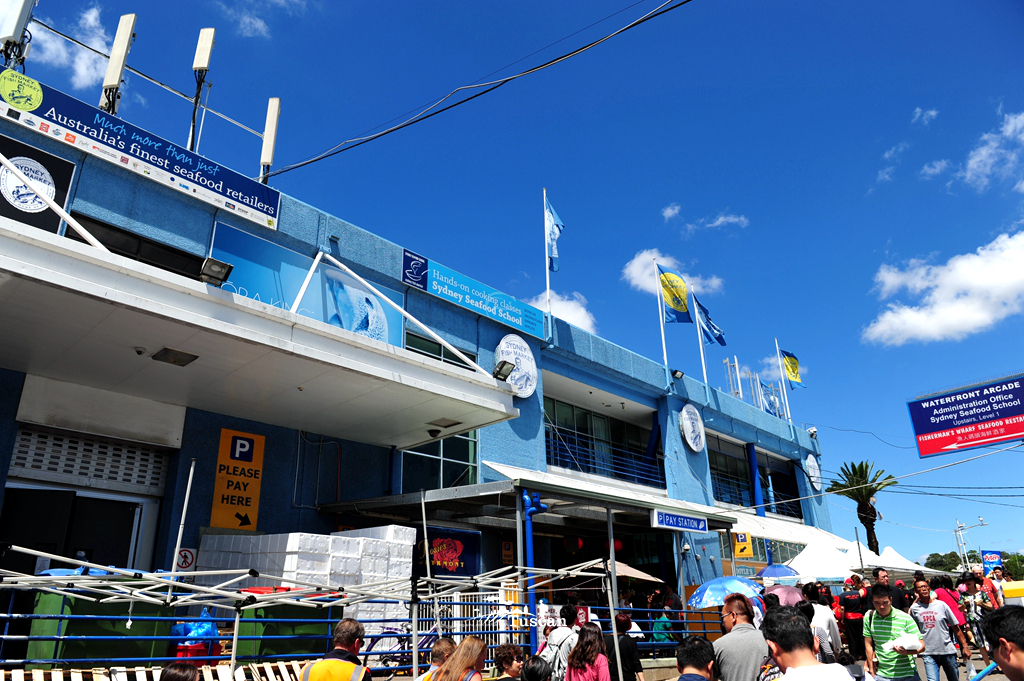 悉尼旅游攻略网红,怎么攻略悉尼