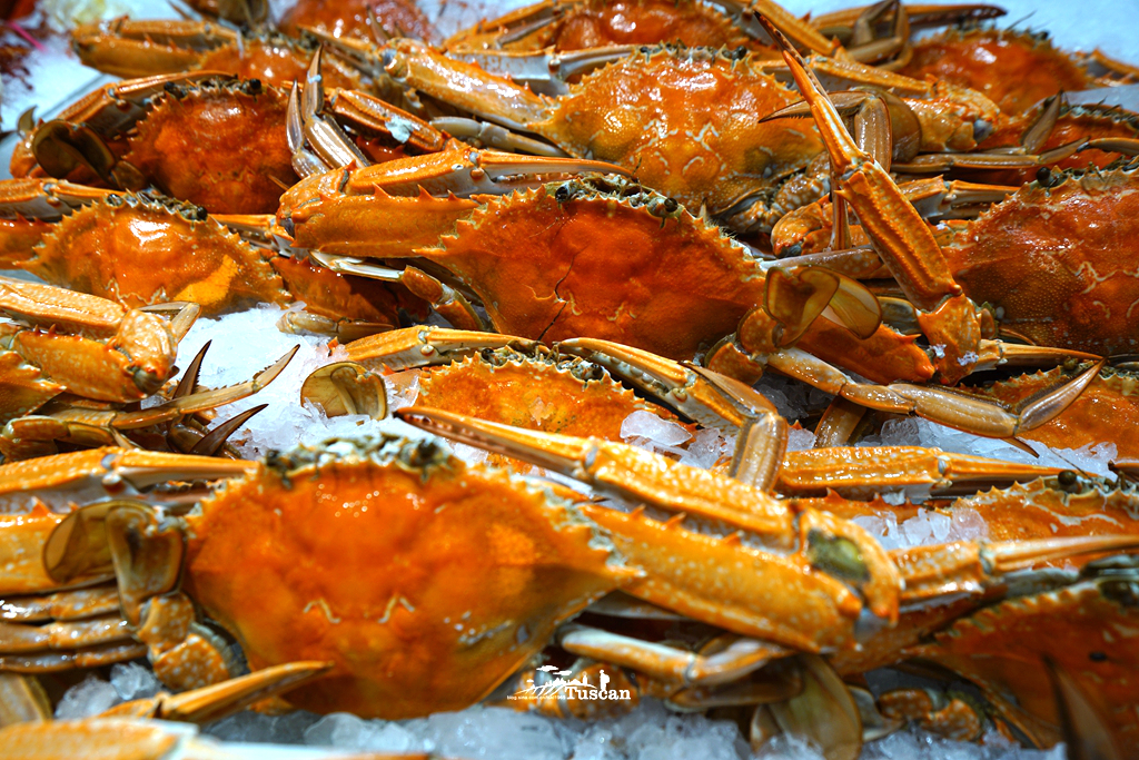 悉尼旅游攻略网红,怎么攻略悉尼