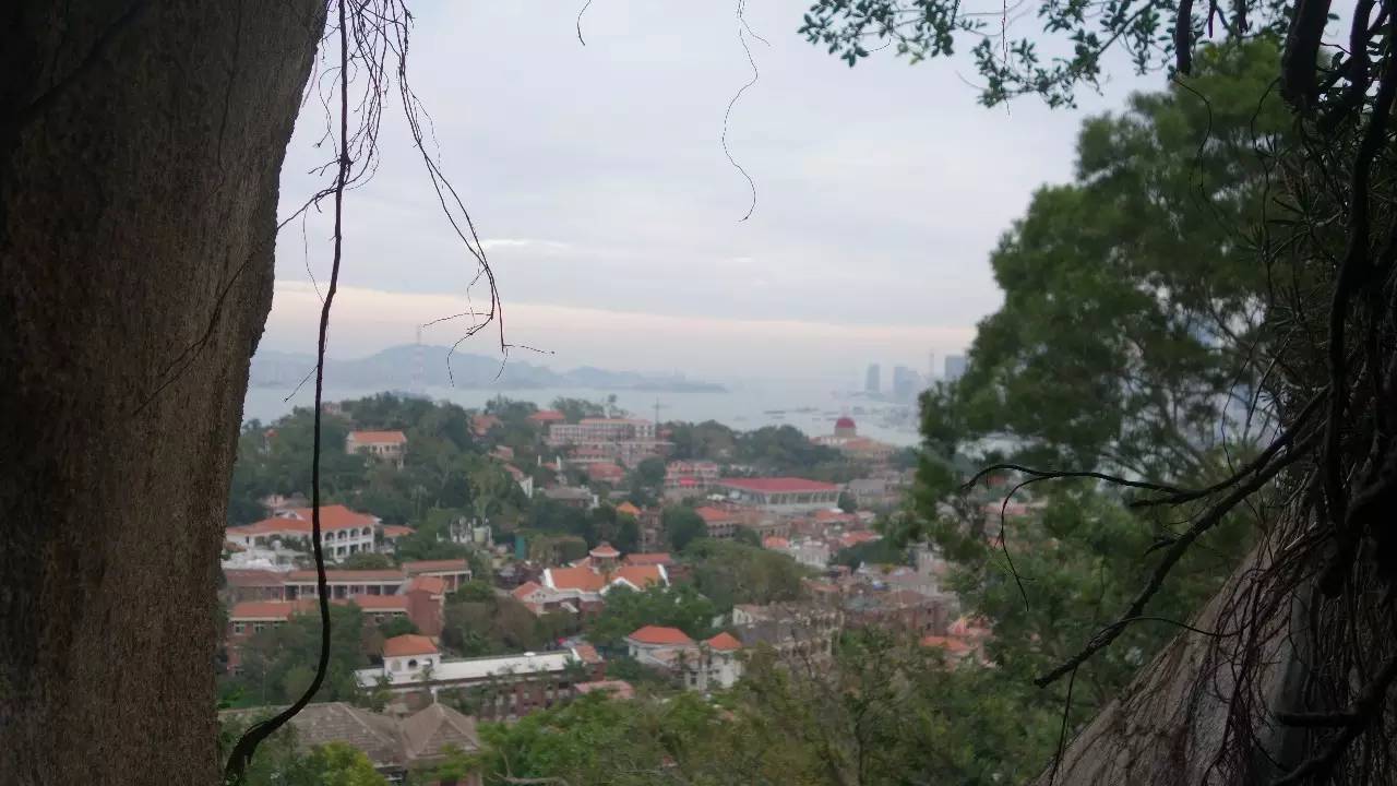 鼓浪屿真的值得去吗,鼓浪屿还敢去玩吗