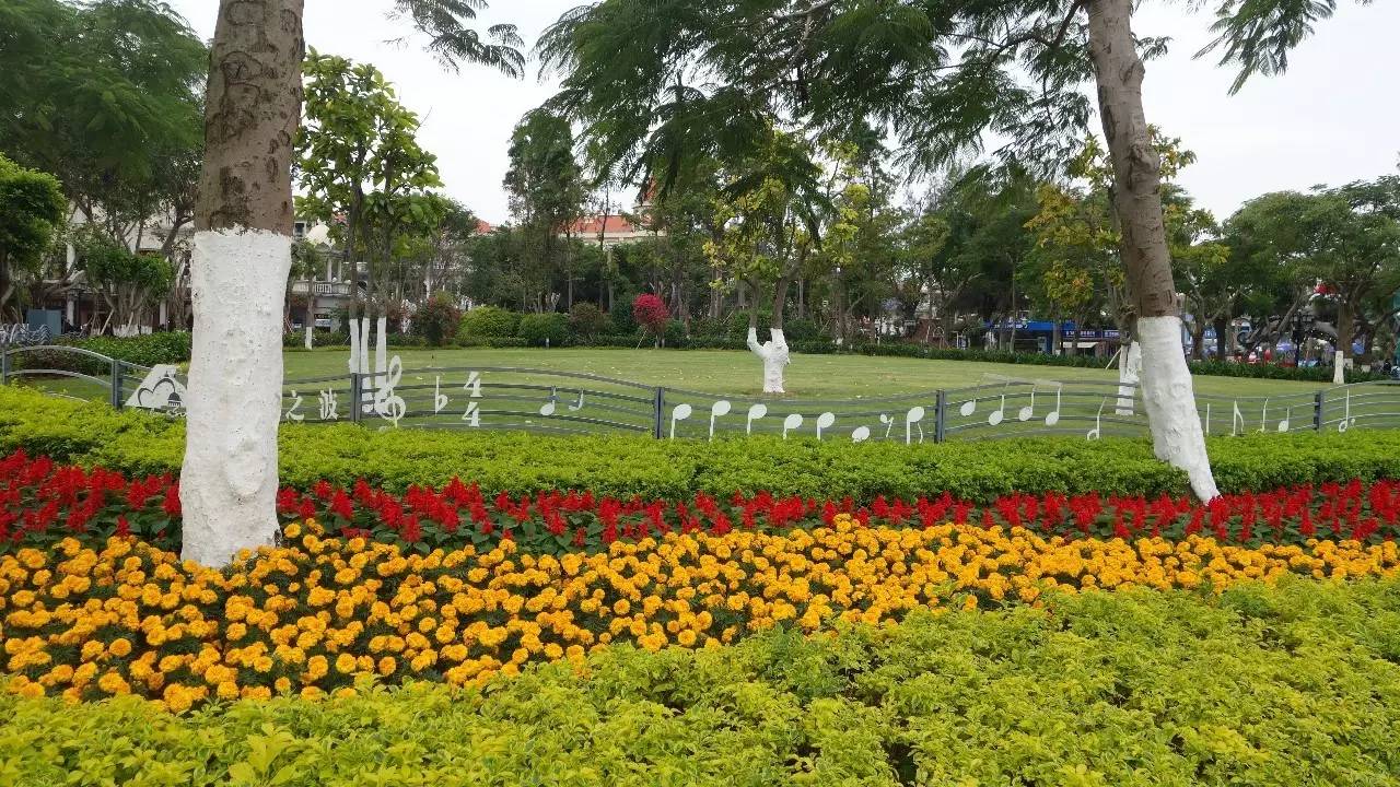 鼓浪屿真的值得去吗,鼓浪屿还敢去玩吗