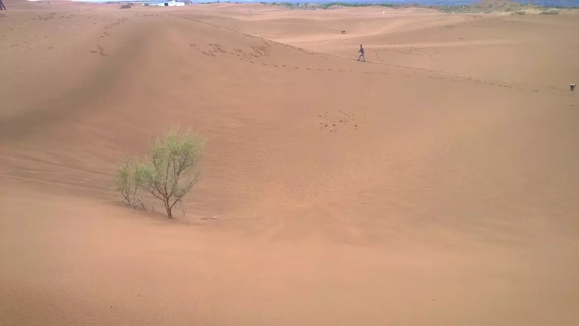 王维大漠孤烟直沙坡头,沙坡头大漠孤烟直在哪里看