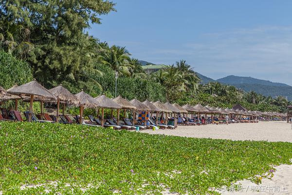 三亚美高梅度假酒店附近旅游路线,三亚美高梅度假亲子体验