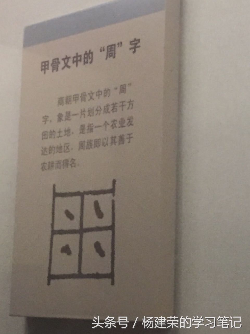 透过历史看历史（r11笔记第54天）