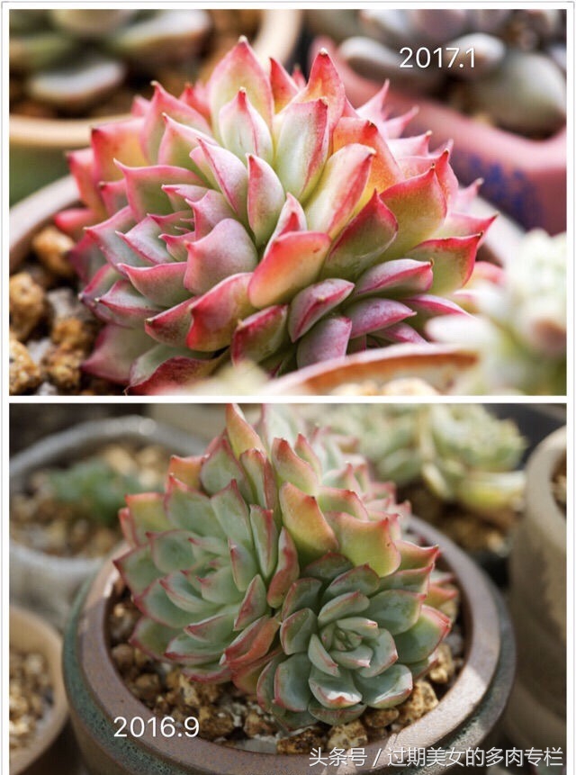 最爱对比图！对比后更惊艳！