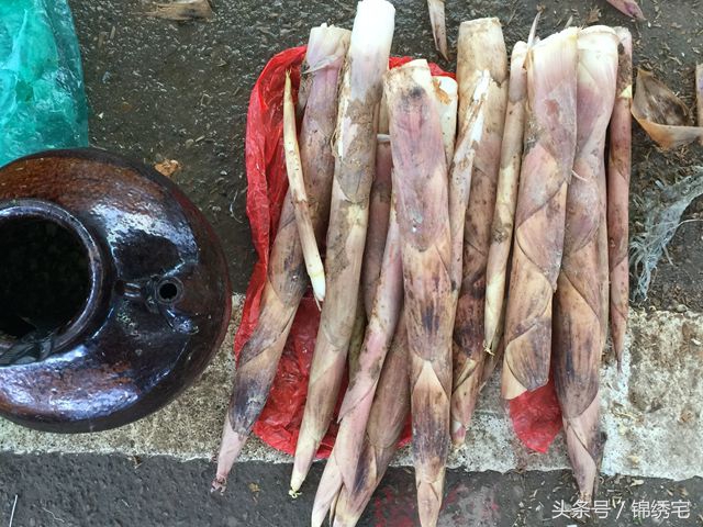 在北方不容易买到的时令蔬菜,这些特色蔬菜你见过吗