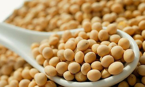 猴年热门的创业生意,新时代赚钱商机