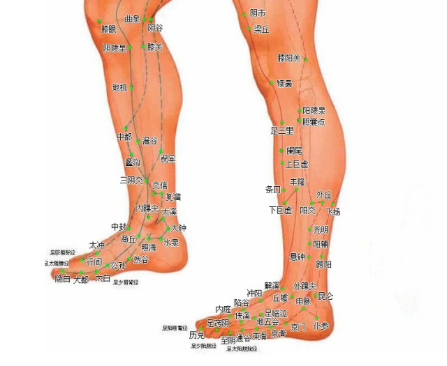 字里藏医全集完整版,字里藏医txt免费下载