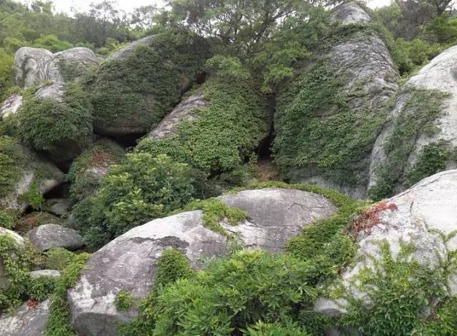 厦门可以爬的山有哪些地方,厦门这些景点你都去过吗