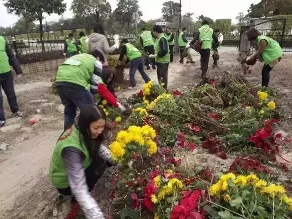 2022迎春花市深圳,深圳2024迎春花市怎么去