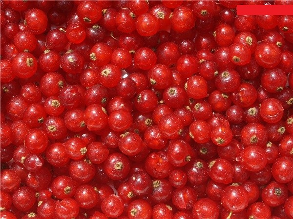 o2o跨境新零售体验馆贵阳,o2o跨境新零售体验馆