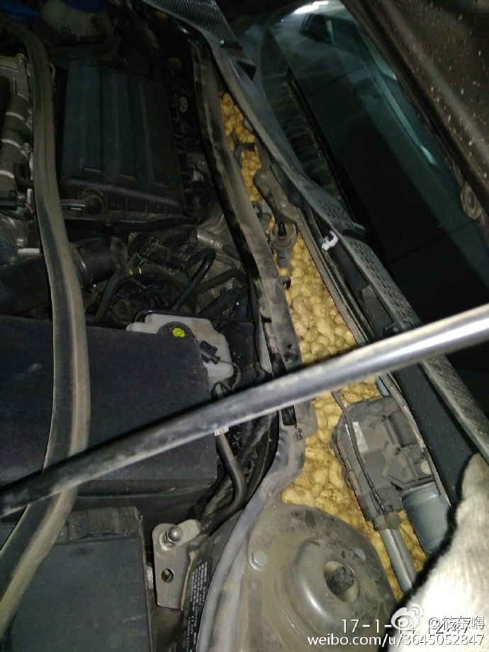 车内生存50天,车内大作战