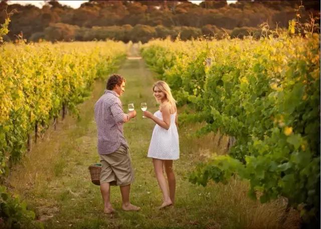 澳大利亚葡萄酒为什么下滑,为什么澳大利亚的葡萄酒历史很久