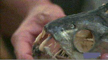 今天的沪深上证指数,沪深指数全天v型走势