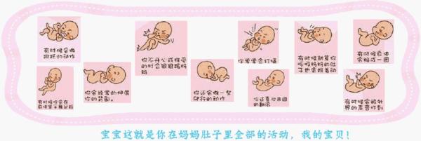 胎动表现对应胎儿动作,胎动是宝宝在和妈妈说话吗