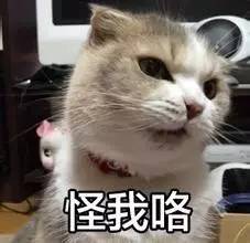 今天这只偷花生的老鼠火了，网友这次都站老鼠
