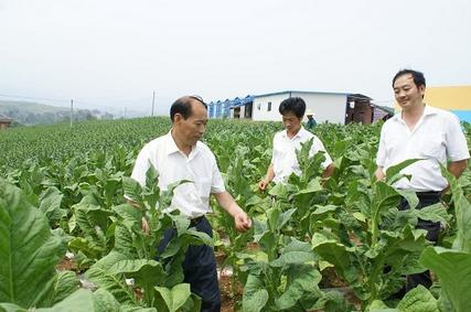 家庭农场挣钱不,家庭农场没有收入怎样报税