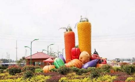 家庭农场挣钱不,家庭农场没有收入怎样报税