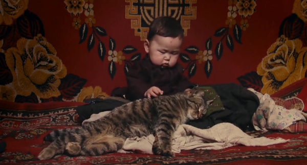 阳光宝贝纪录片照片,阳光宝贝非洲纪录片