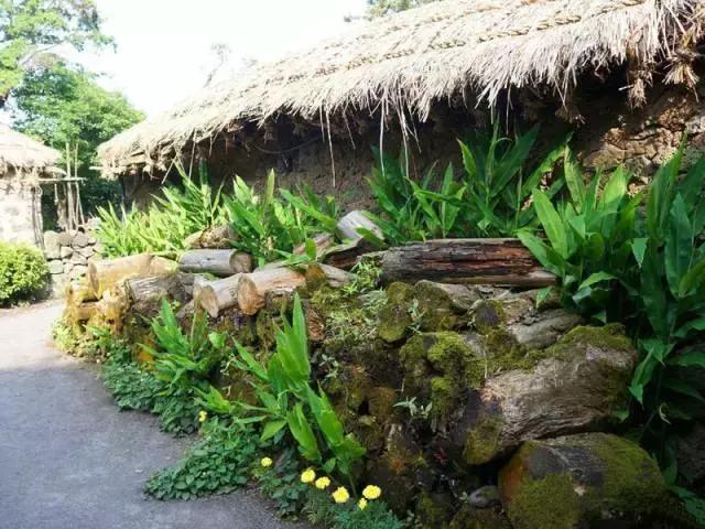 买特价飞机票攻略,买特价机票关注事项