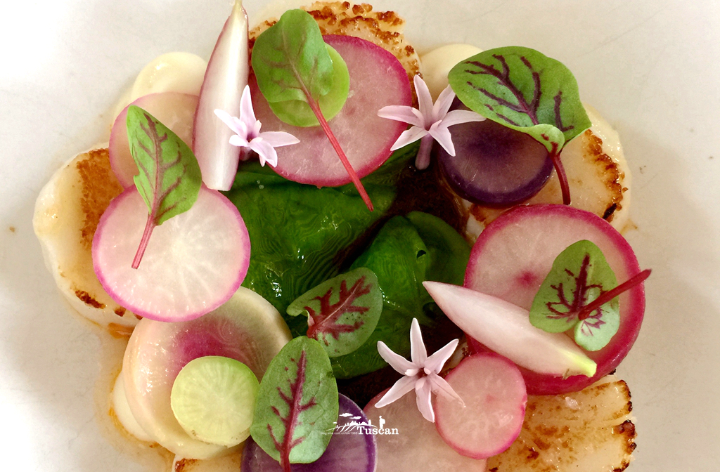 悉尼旅游攻略网红,怎么攻略悉尼