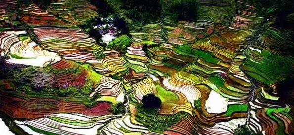 云南大理丽江六日游长春出发,长春到云南大理丽江旅游全攻略